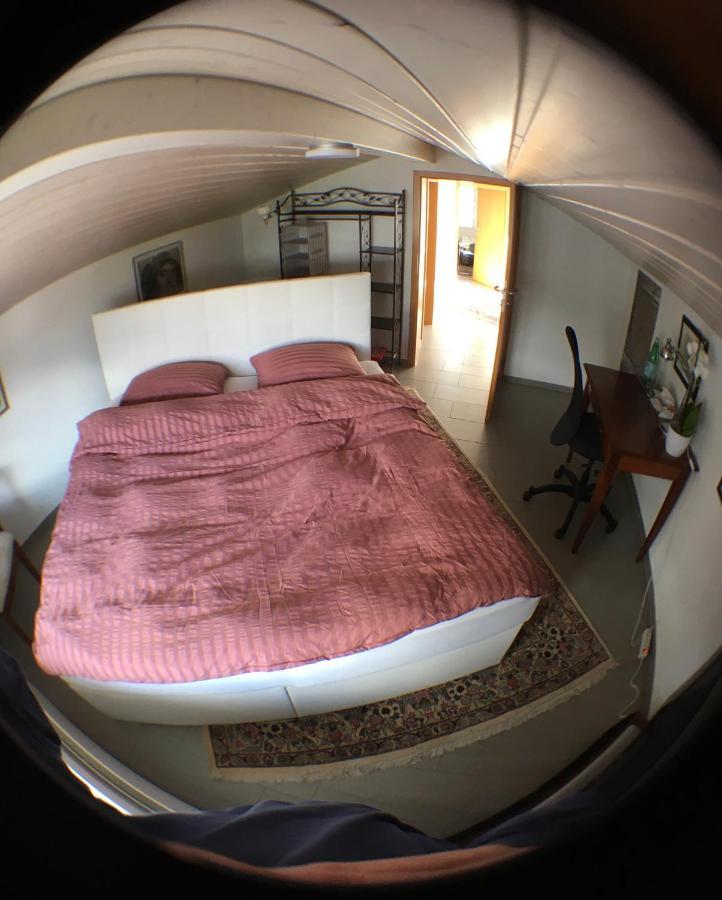 No Such Thing Bed and Breakfast Schwyz Eksteriør billede